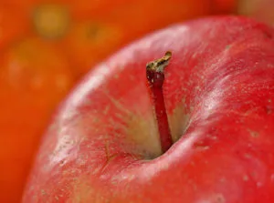 a close-up of an apple