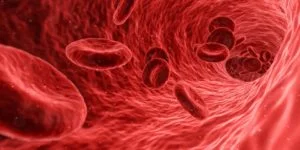 red blood cells in a blood vessel